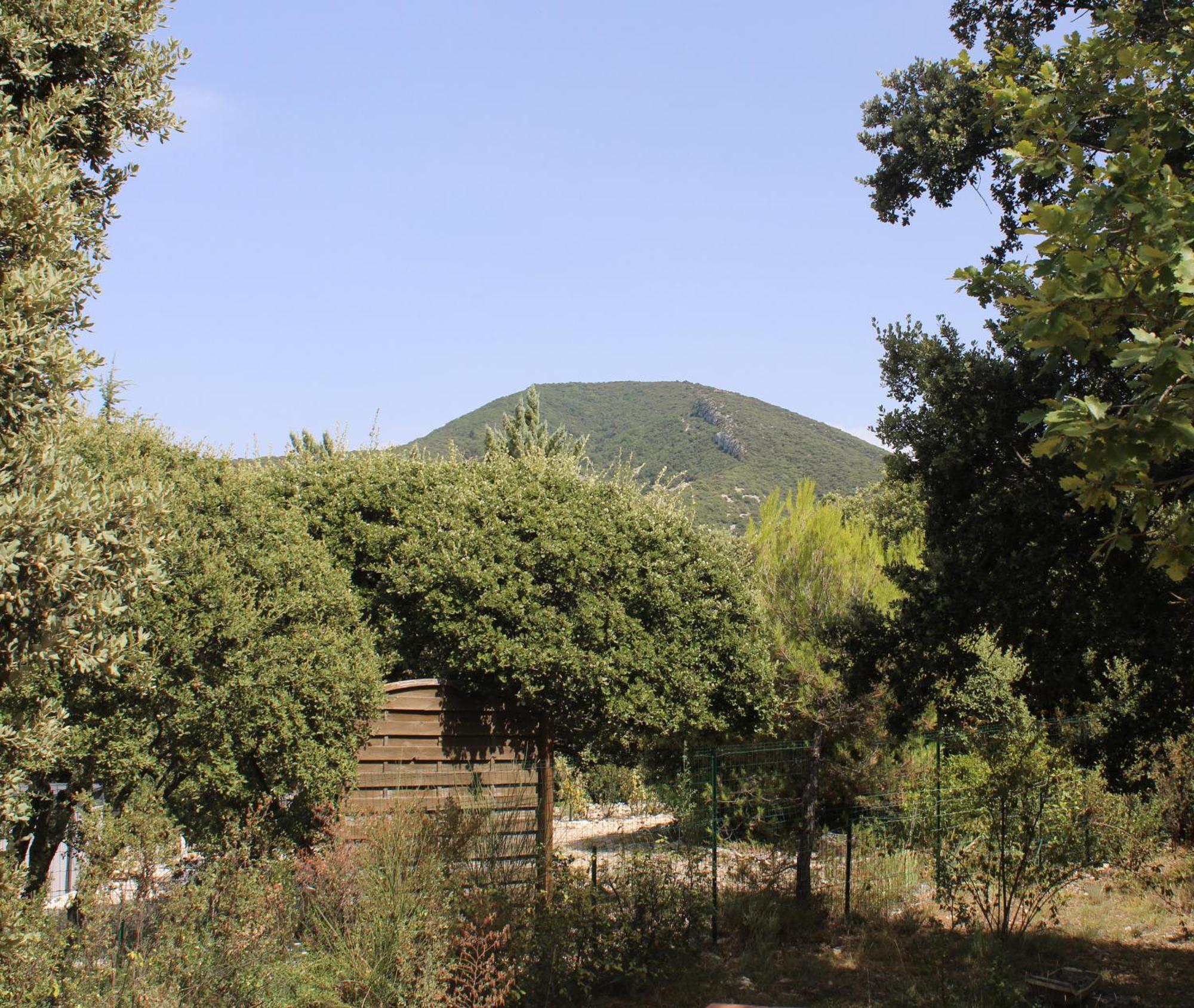 Villa Le Pas Du Ventoux Mollans-sur-Ouvèze Exterior foto